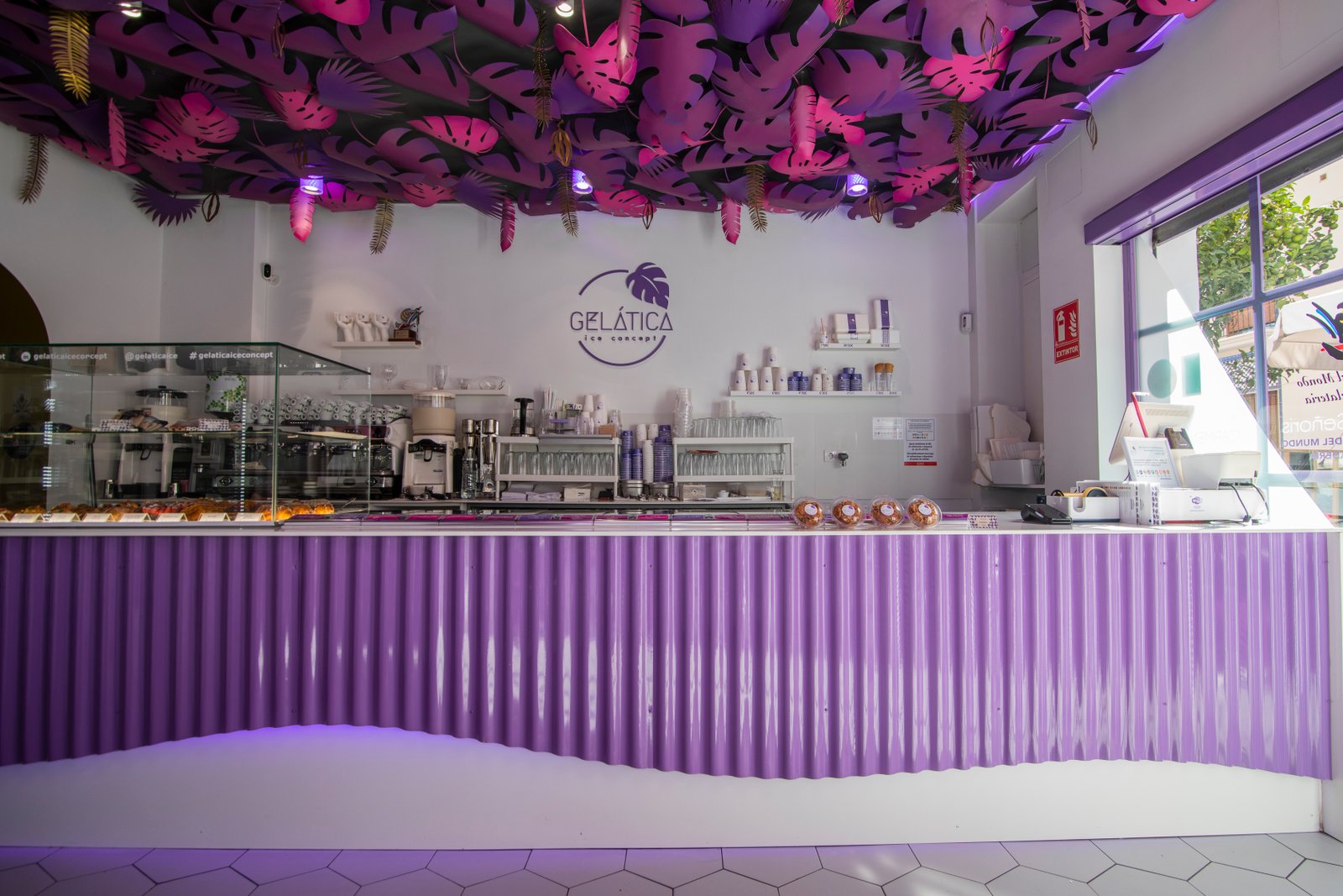 Gelática ice concept — el local